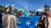 Kvinnor som håller i Somalias flagga.