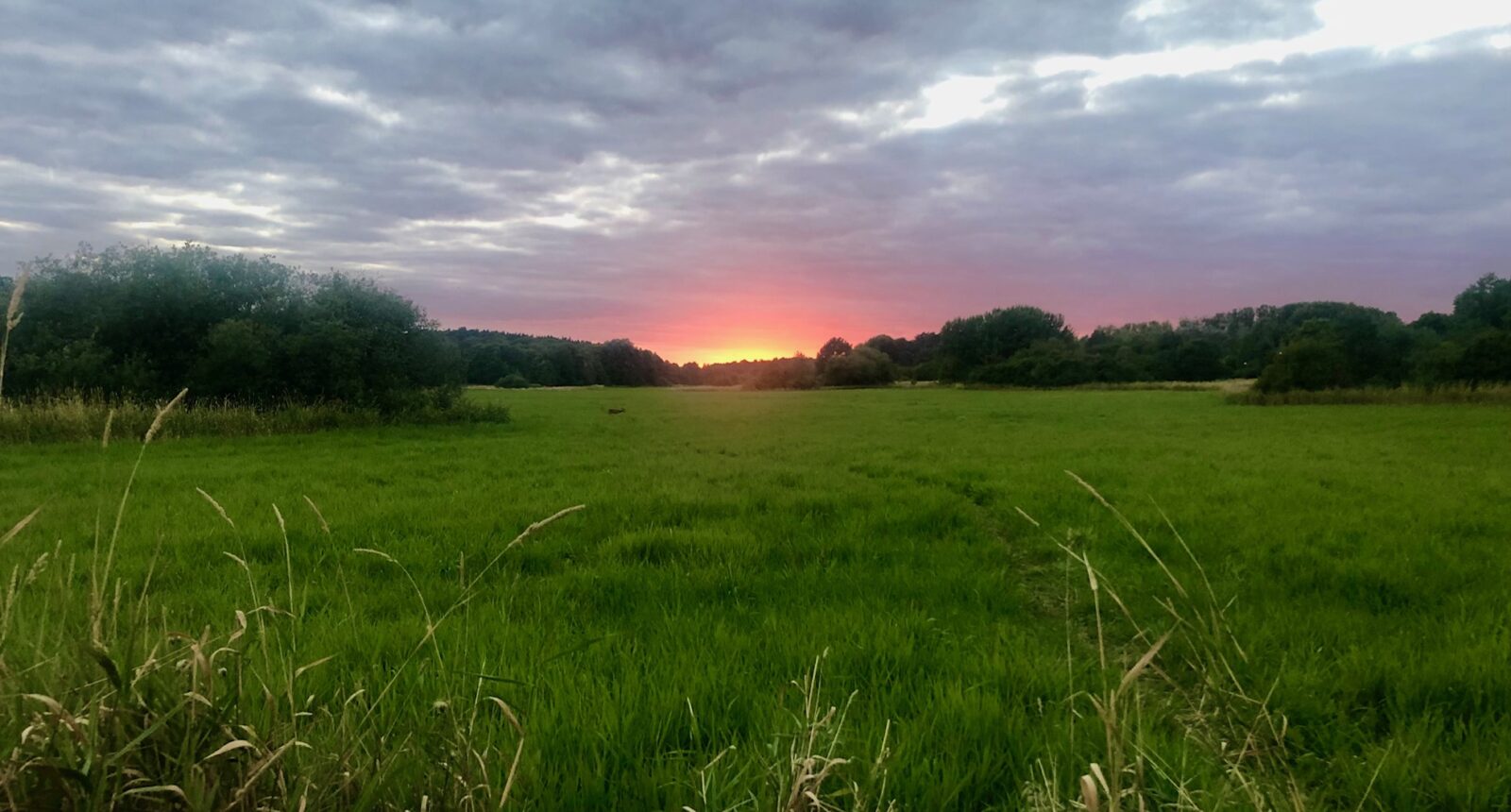 Solnedgång över Järvafältet