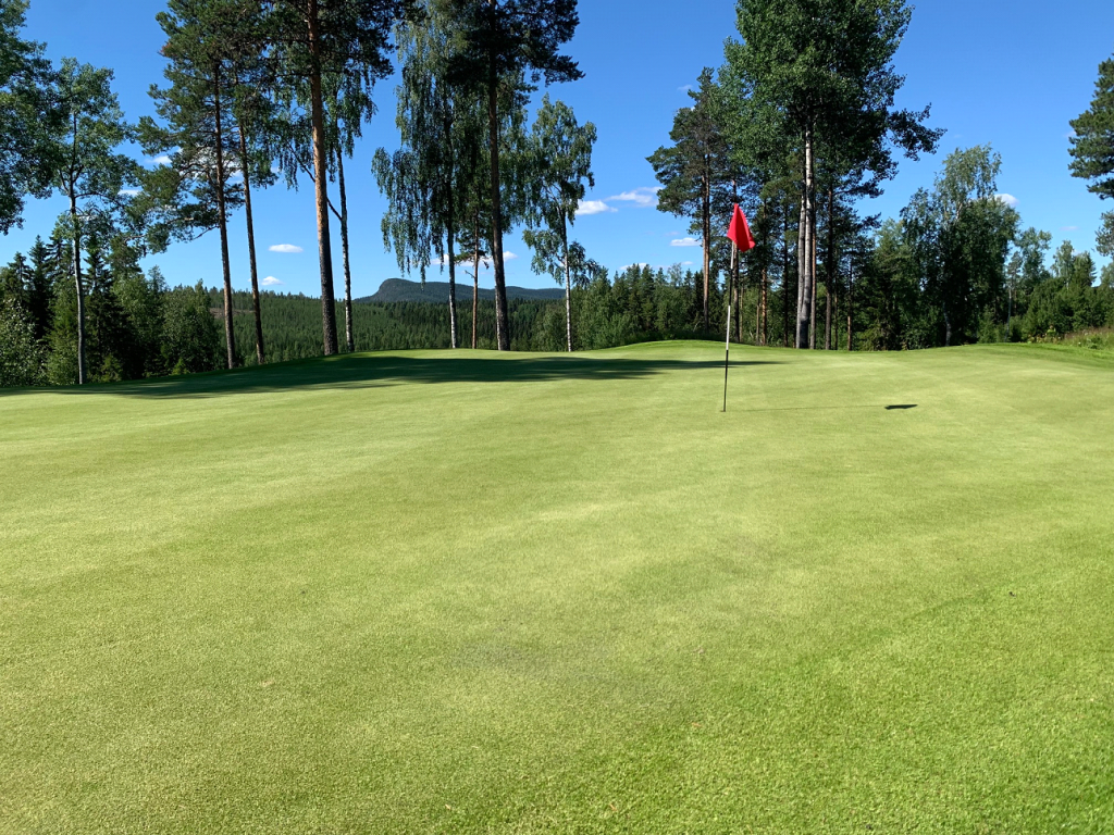 Bjurholms GK spela golf på en av sveriges vackraste banor nyhetsreportage.digital