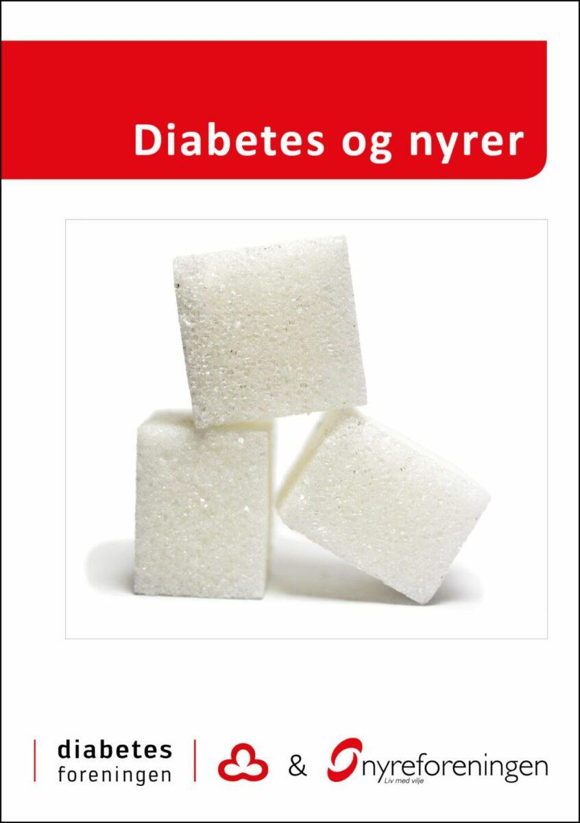 Pjece fra Nyreforeningen om rettigheder