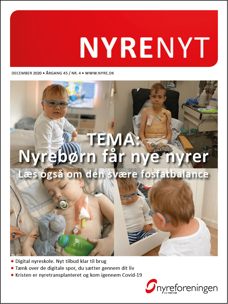 Nyrenyt 4 2020