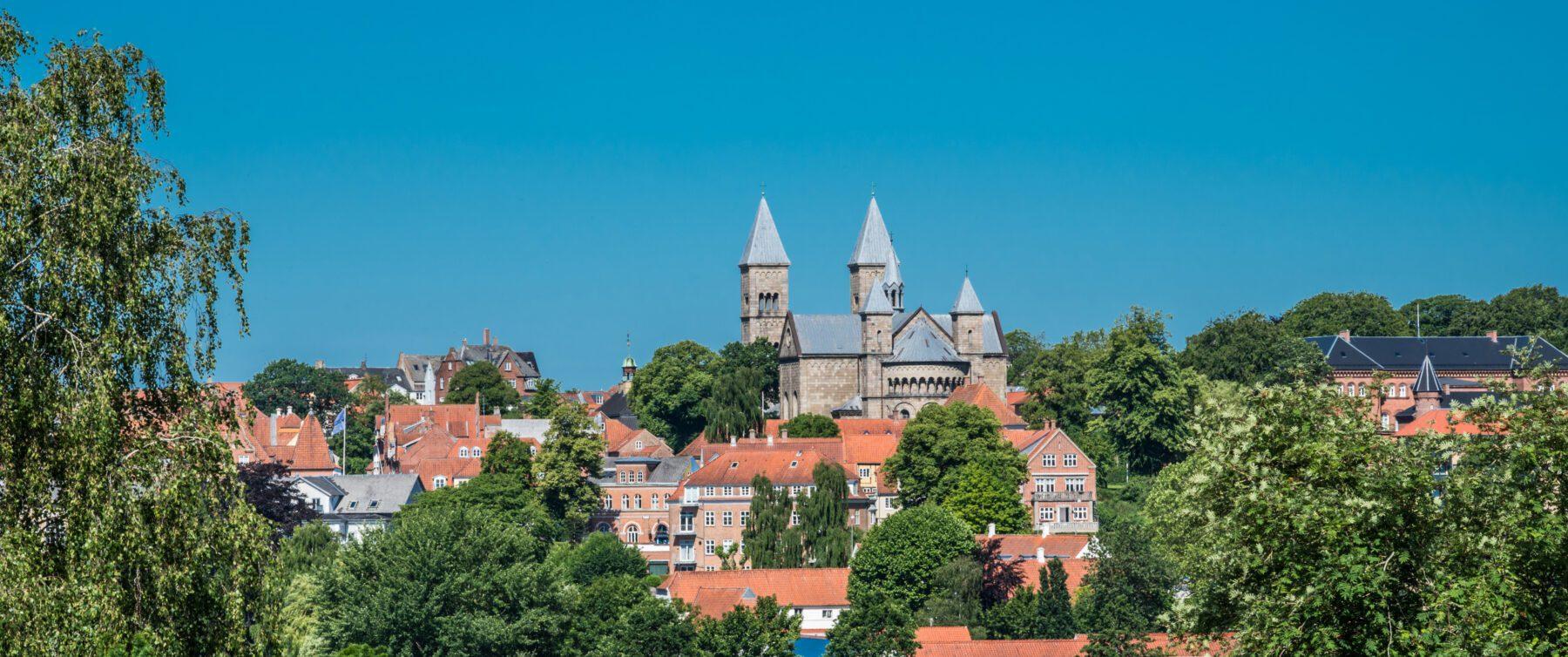 Nyreforeningen Midtjylland