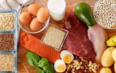 Pas på din nyrefunktion gennem maden – protein