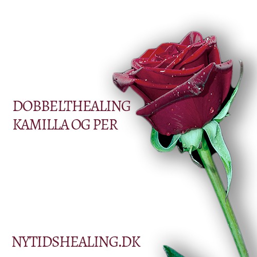 Ny Tids Healing - Dobbelthealing