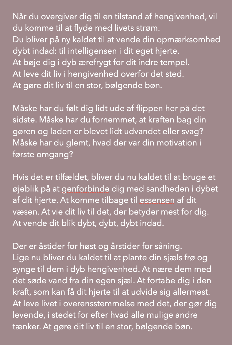 Skærmbillede 2022-08-03 kl. 15.07.32