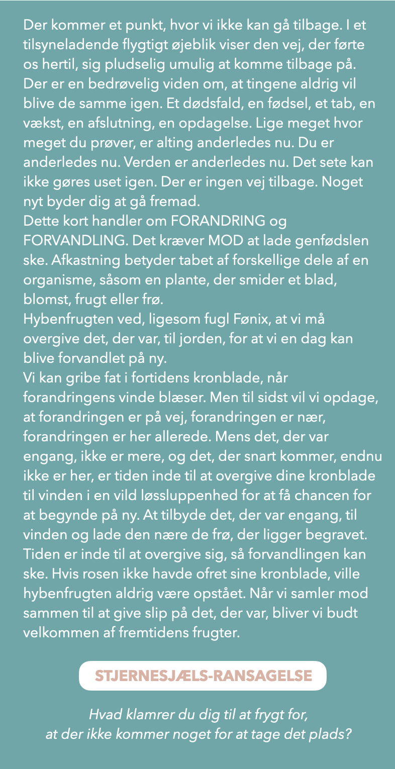 Skærmbillede 2024-08-14 kl. 12.27.38