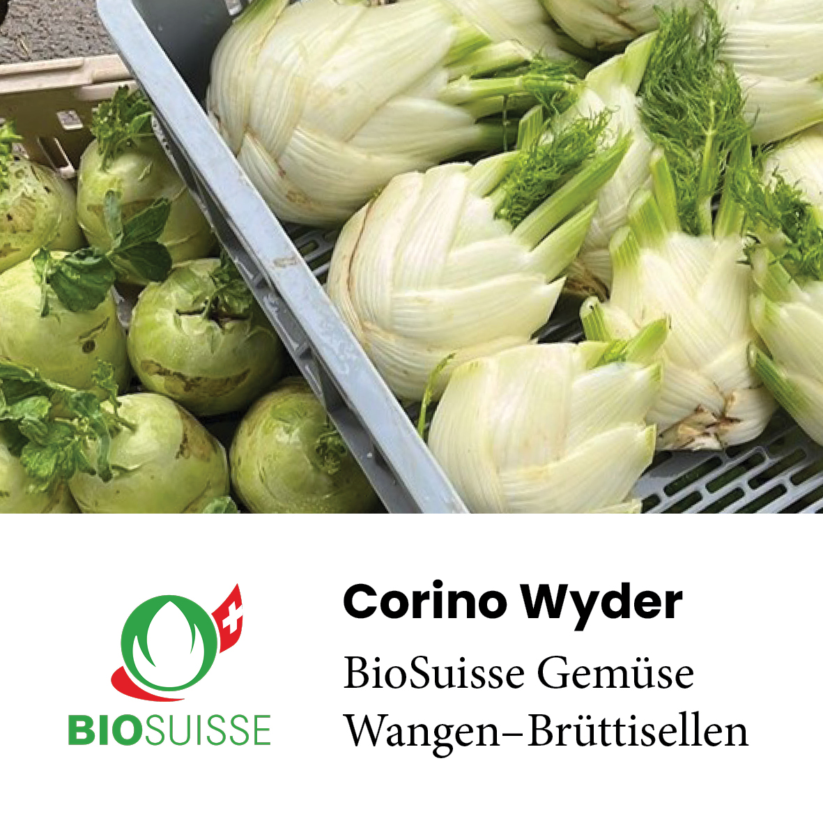 Corino_Wyder_Logo