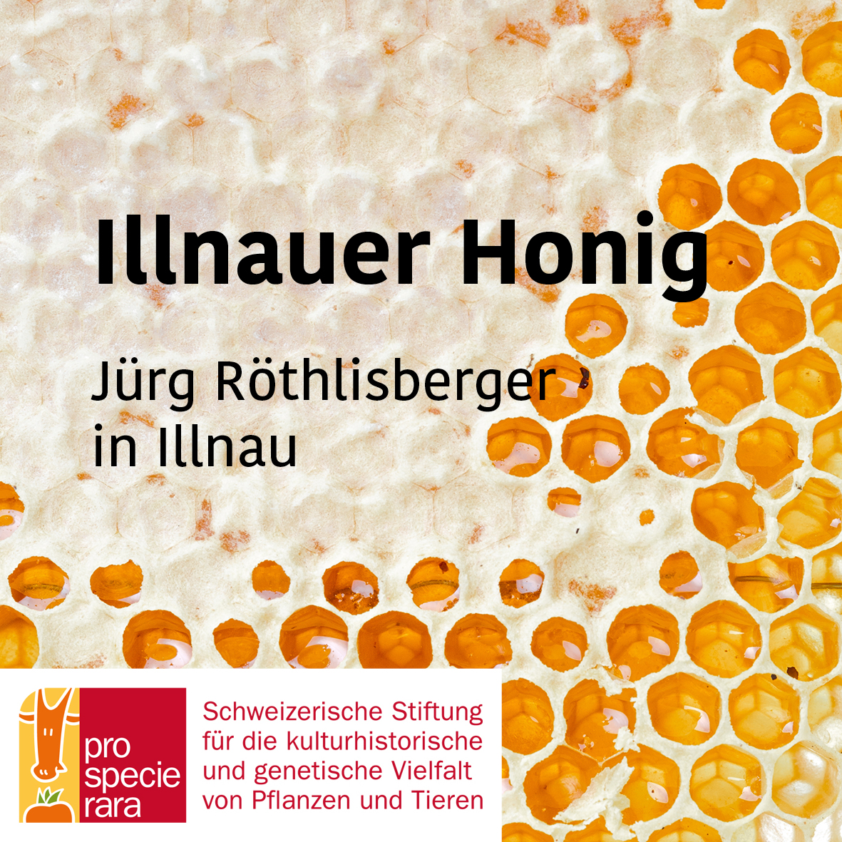 Honig_Logo