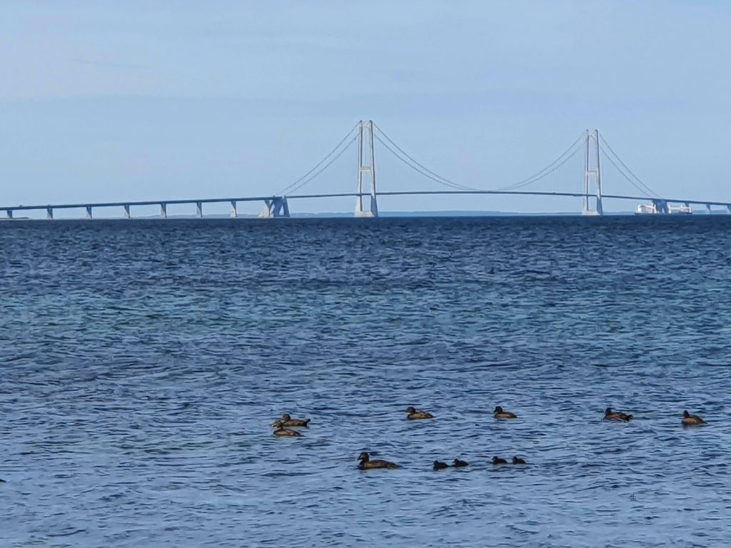 SKÆLSKØR til KALUNDBORG - pilgrimsvandring langs kysten