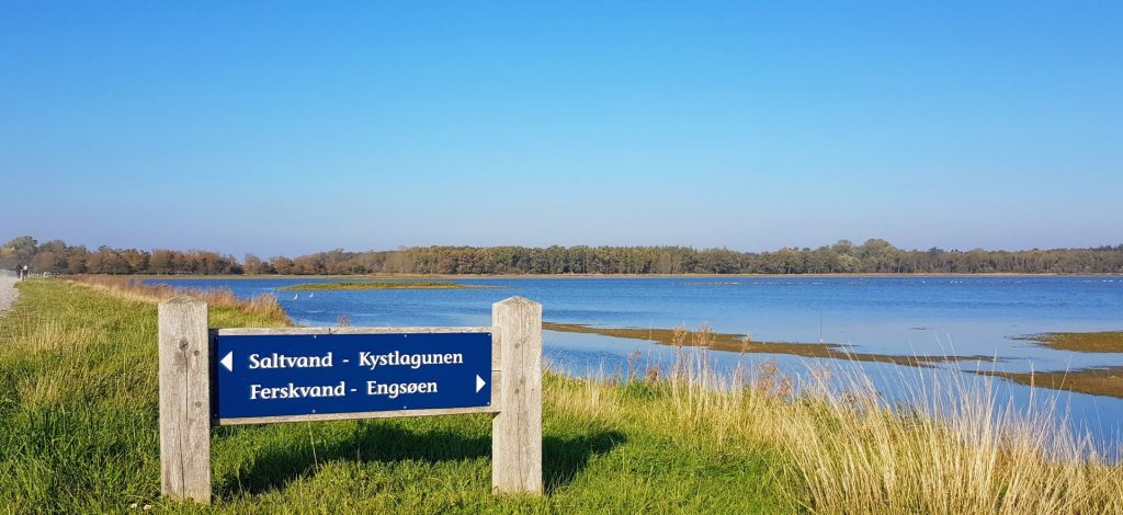 Engsøen Gyldensteen Strand