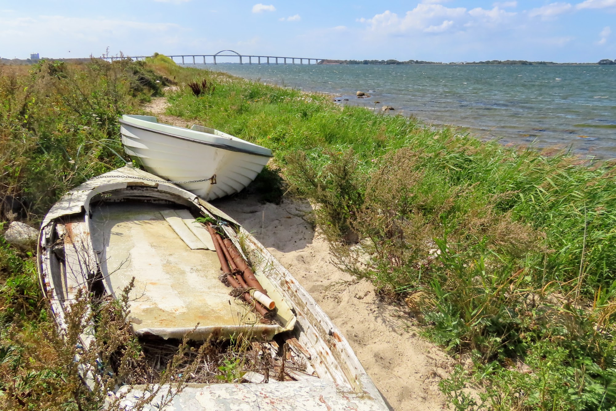 Øhavsstien - Klæsø og Henninge Nor til Spodsbjerg