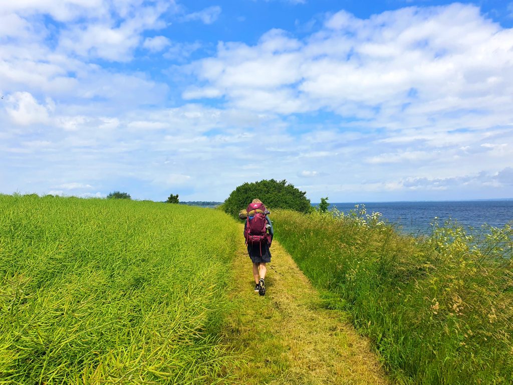 Vandre- og cykelrundtur på Ærø