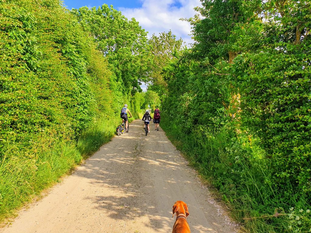 Vandre- og cykelrundtur på Ærø