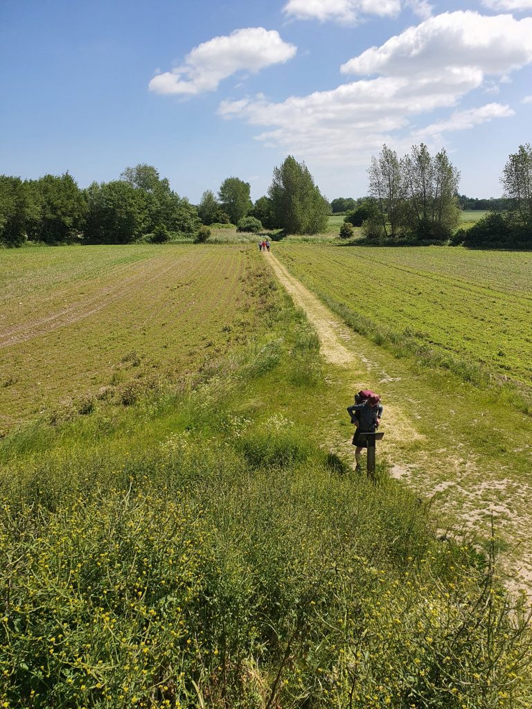 Vandre- og cykelrundtur på Ærø