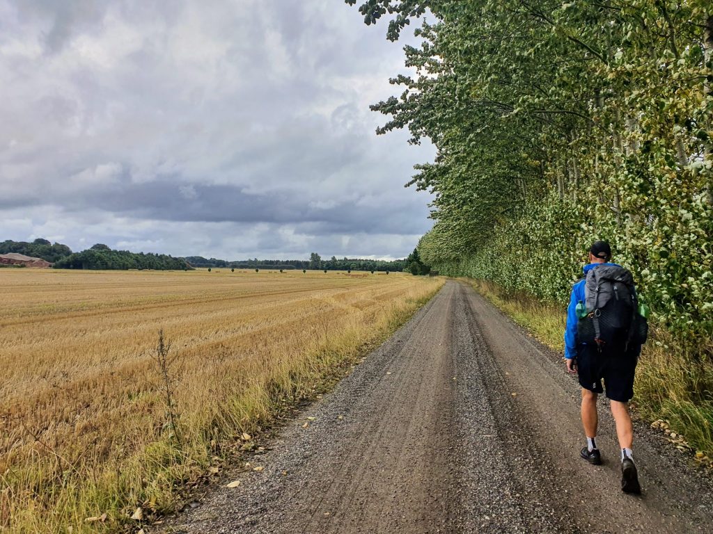 Hærvejen fra Viborg til Gudenåens udspring