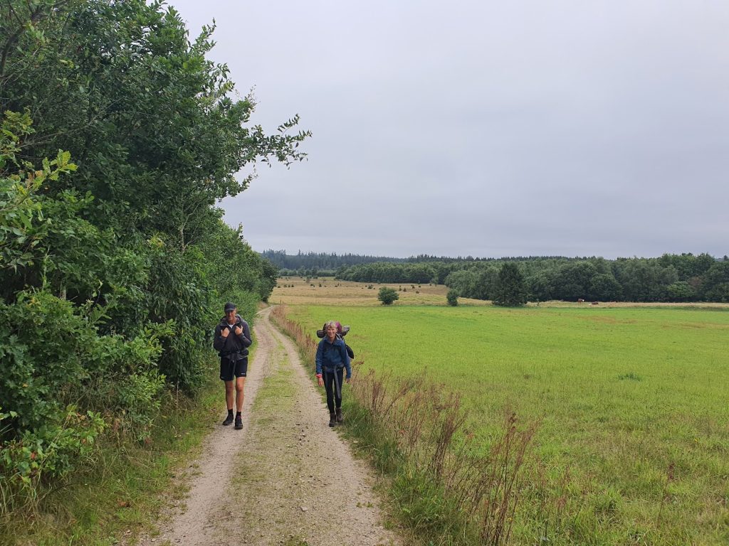 Hærvejen fra Viborg til Gudenåens udspring