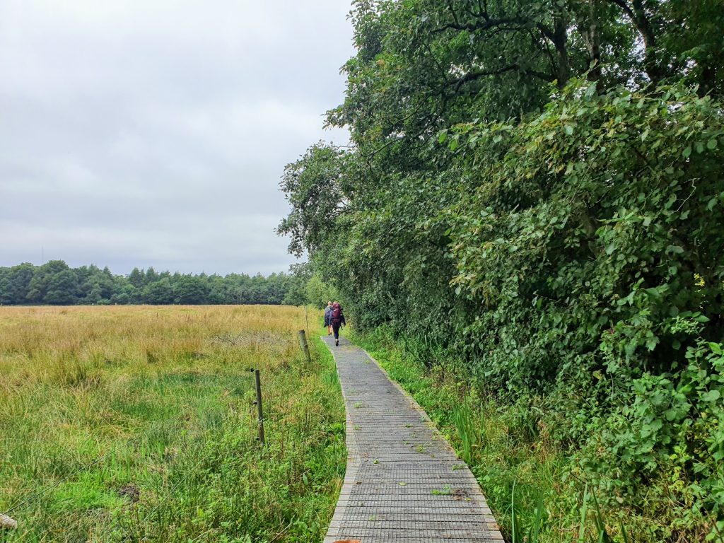 Hærvejen fra Viborg til Gudenåens udspring