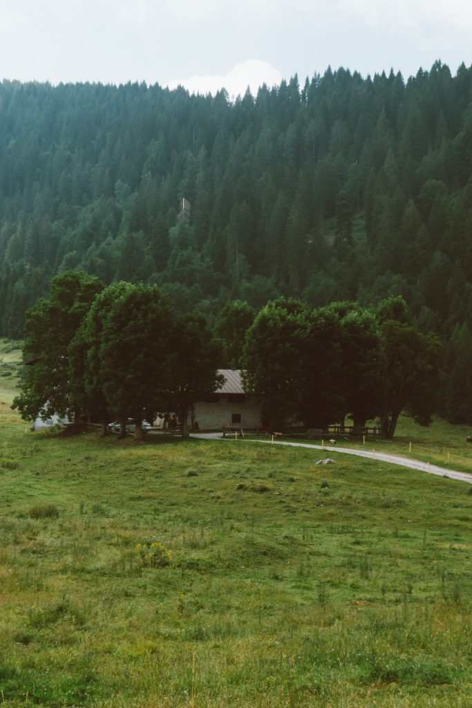 Gardasee - Welt der Almen