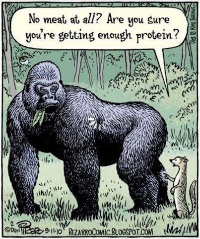 Quelle: http://bizarrocomic.blogspot.de/2010/09/freaks.html