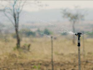 World Vision Gemeinschaftsprojekte: Hilfe zur Selbsthilfe gegen den Hunger
