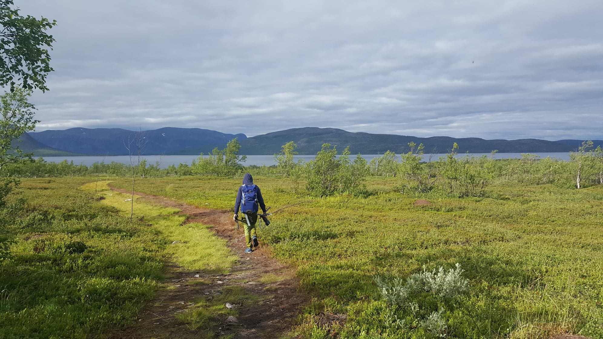 Vandring till Torne Träsk