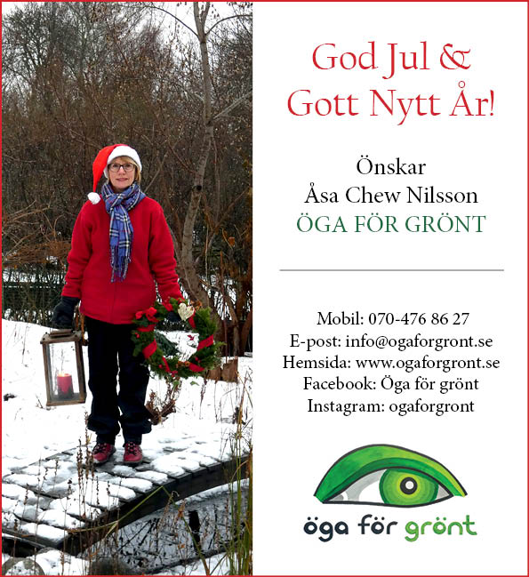 Dags att skicka julkort!