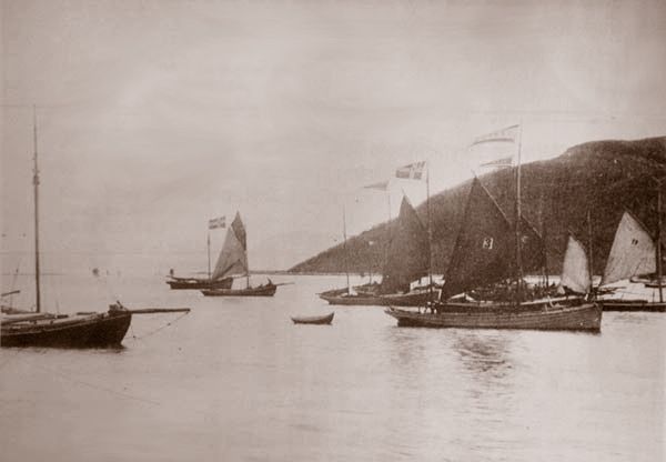Under Harstadregattaen i 1891 myldret det av båter.