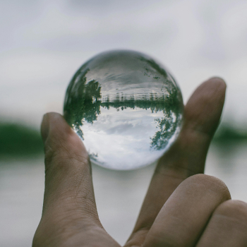 nature in a glass ball