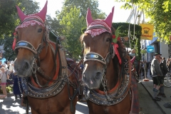 Aufstellung zum Einzug der Wiesnwirte in der Herzog-Heinrich-Straße in München 2019