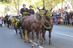 Einzug der Wiesnwirte auf das Oktoberfest auf der Theresienwiese in München 2019