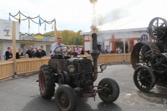 Impressionen Oide Wiesn 2017