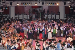 Oider Wiesn Ball 2018