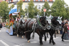 Trachten- und Schützenzug 2017