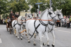 Trachten- und Schützenzug 2017