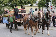 Trachten- und Schützenzug 2017