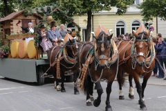 Trachten- und Schützenzug 2017