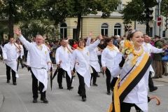 Trachten- und Schützenzug 2017