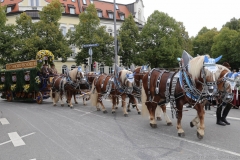 Trachten- und Schützenzug 2017