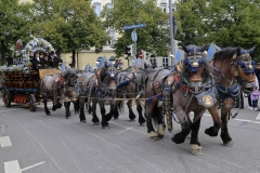 Trachten- und Schützenzug 2017