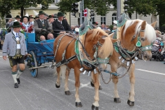 Trachten- und Schützenzug 2017