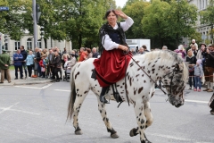 Trachten- und Schützenzug 2017