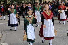 Trachten- und Schützenzug 2017