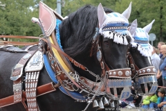 Trachten- und Schützenzug am Oktoberfest in München 2018