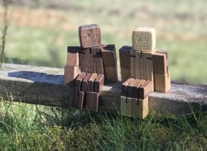 Wooden toy