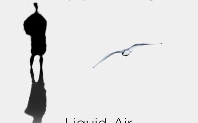 Liquid Air 2nd single from NOX out December 22nd 2021