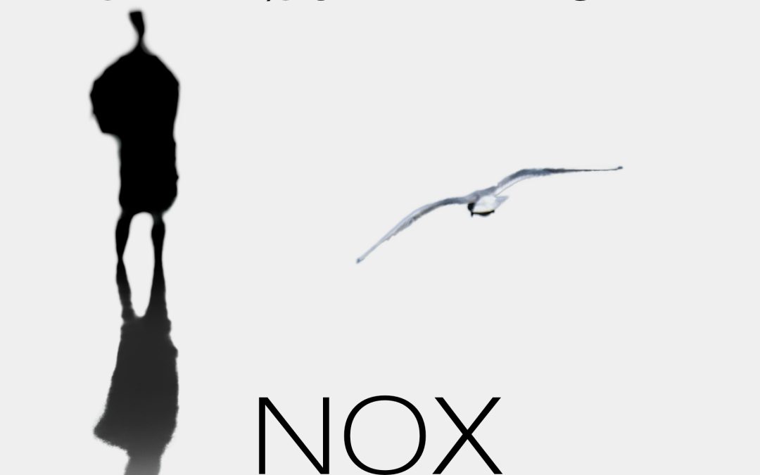 New album NOX out on April 1st 2022