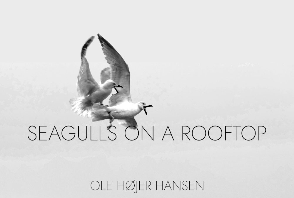Seagulls on a Rooftop (new single) will be out June 16th 2023