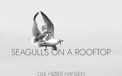 Seagulls on a Rooftop (new single) will be out June 16th 2023