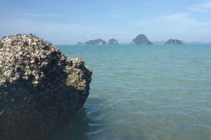 Tubkaek Beach -  Krabi -- Thailand - Foto: Ole Holbech