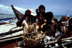 Arugambay - Sri Lanka - 1983 - Foto: Ole Holbech